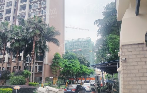 阳光粤港栖凤台实景图