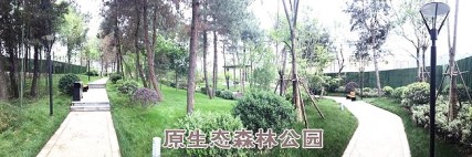 东都金麟府配套实景图