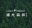 中南湖光森林户型图