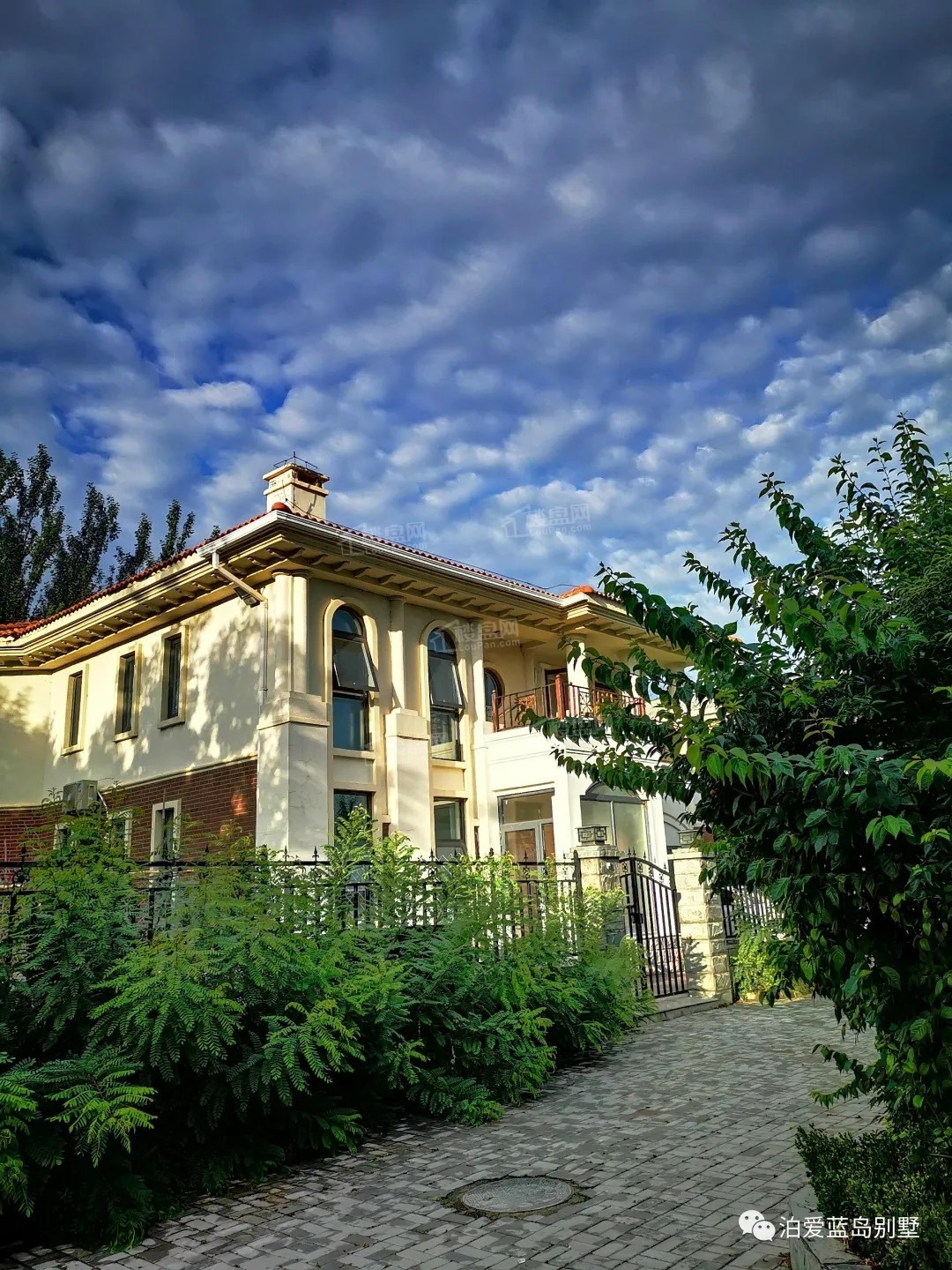 泊爱蓝岛
