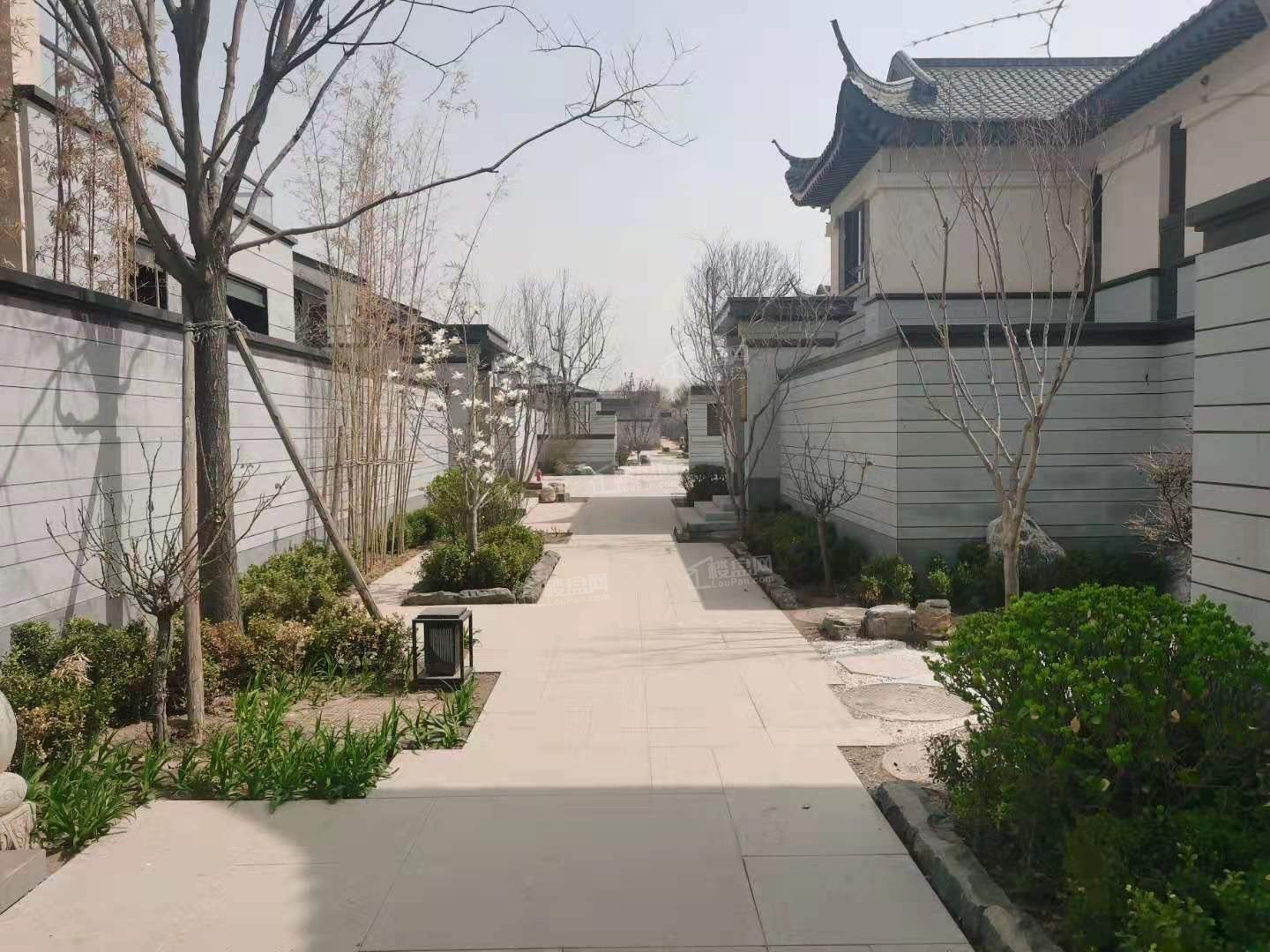 固安新绎来康郡