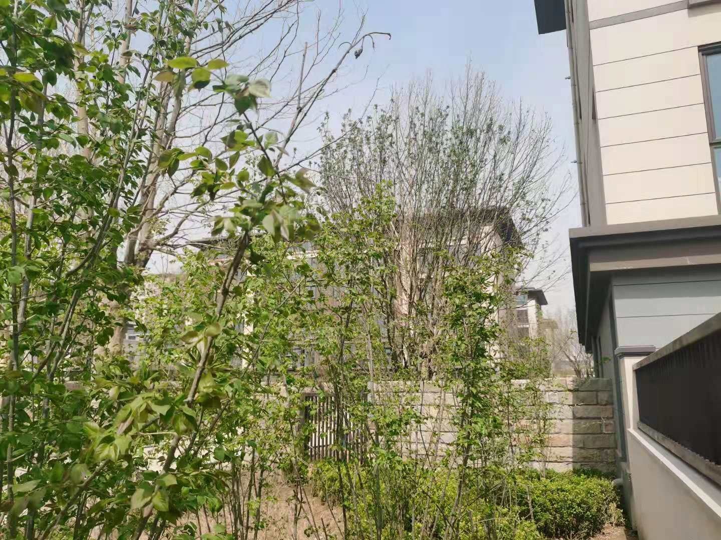 固安新绎来康郡