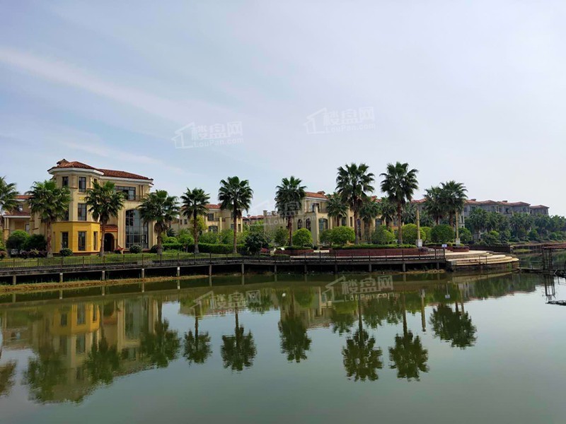 【清豪西雍半岛】九龙湖西 湖景独栋别墅在售!单价6660元/㎡起!