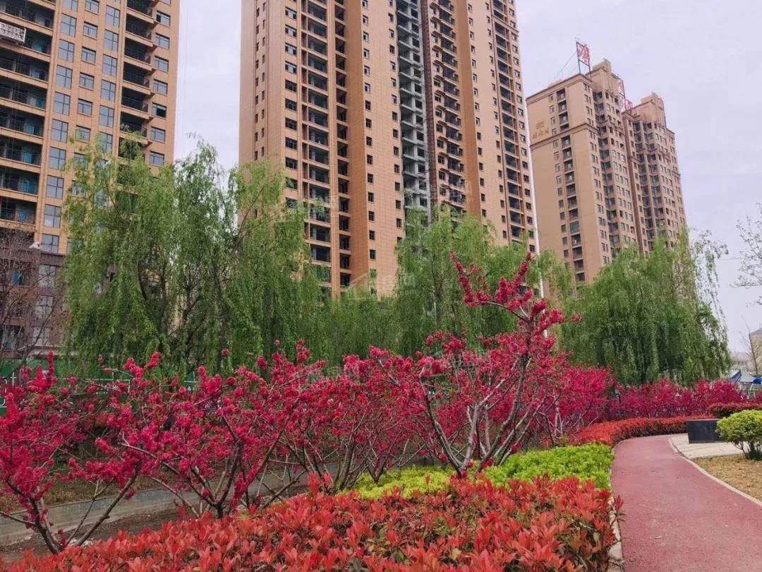 濮阳滨湖湾效果图_实景图_样板间-濮阳楼盘网