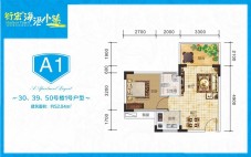 衍宏海港小镇A1户型图 1室2厅1卫1厨  建筑面积52.04㎡