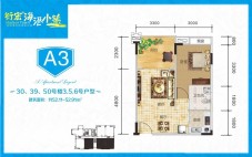 衍宏海港小镇A3户型图 1室2厅1卫1厨  建筑面积52.11-52.91㎡