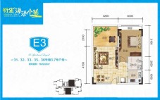 衍宏海港小镇E3户型图 1室2厅1卫1厨  建筑面积49.60㎡
