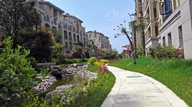 泰地现代城实景图