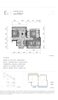 檀映滨江·天境10/16#楼E户型143㎡