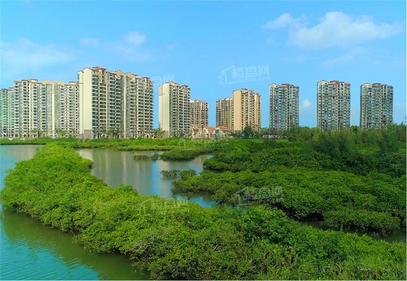 三亚富力红树湾效果图_实景图_样板间-三亚楼盘网