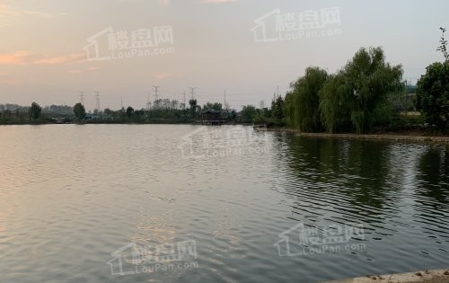 碧桂园奥能罗马世纪城配套湖景