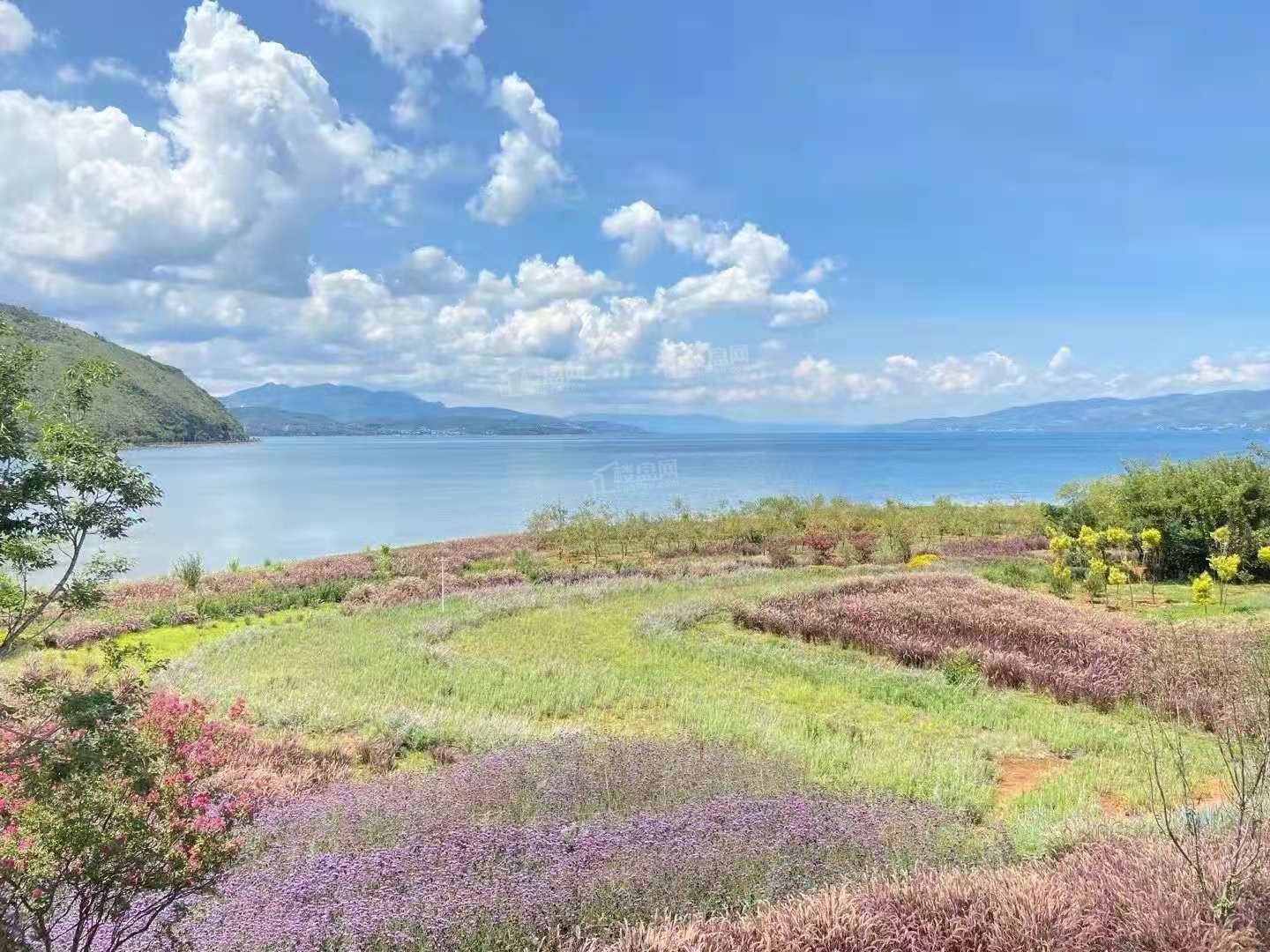 中國撫仙湖星空小鎮國際度假區