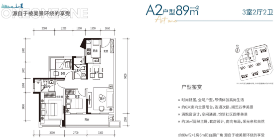 A2户型（89㎡）