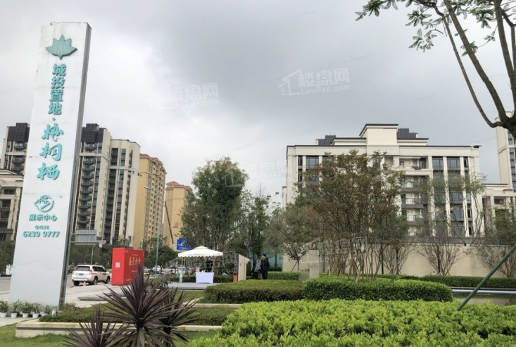 城投置地梧桐栖