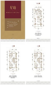 云星公园大第别墅户型图