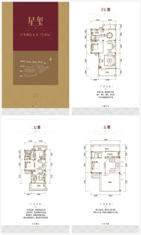 云星公园大第别墅户型图