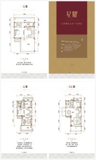 云星公园大第别墅户型图