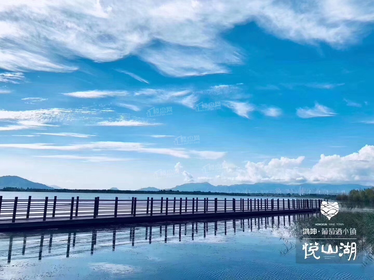 鸿坤·葡萄酒小镇实景图