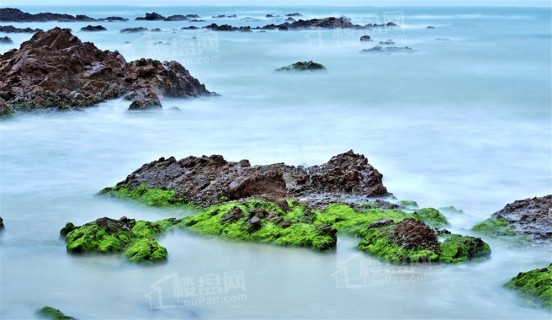 海南·佰悦湾配套图