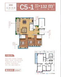 芒市天沐华府C5户型