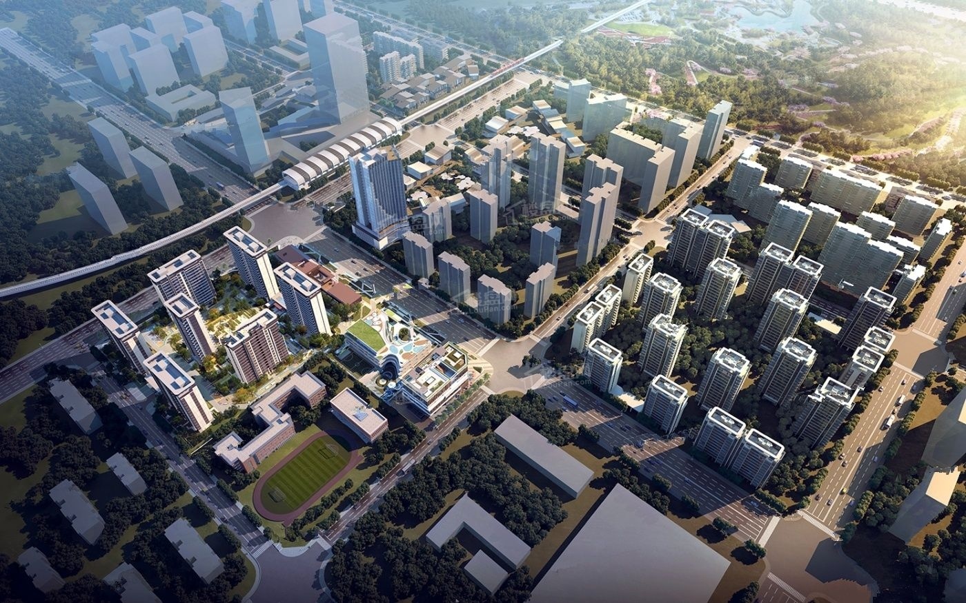 幸福桥tod幸福拾光