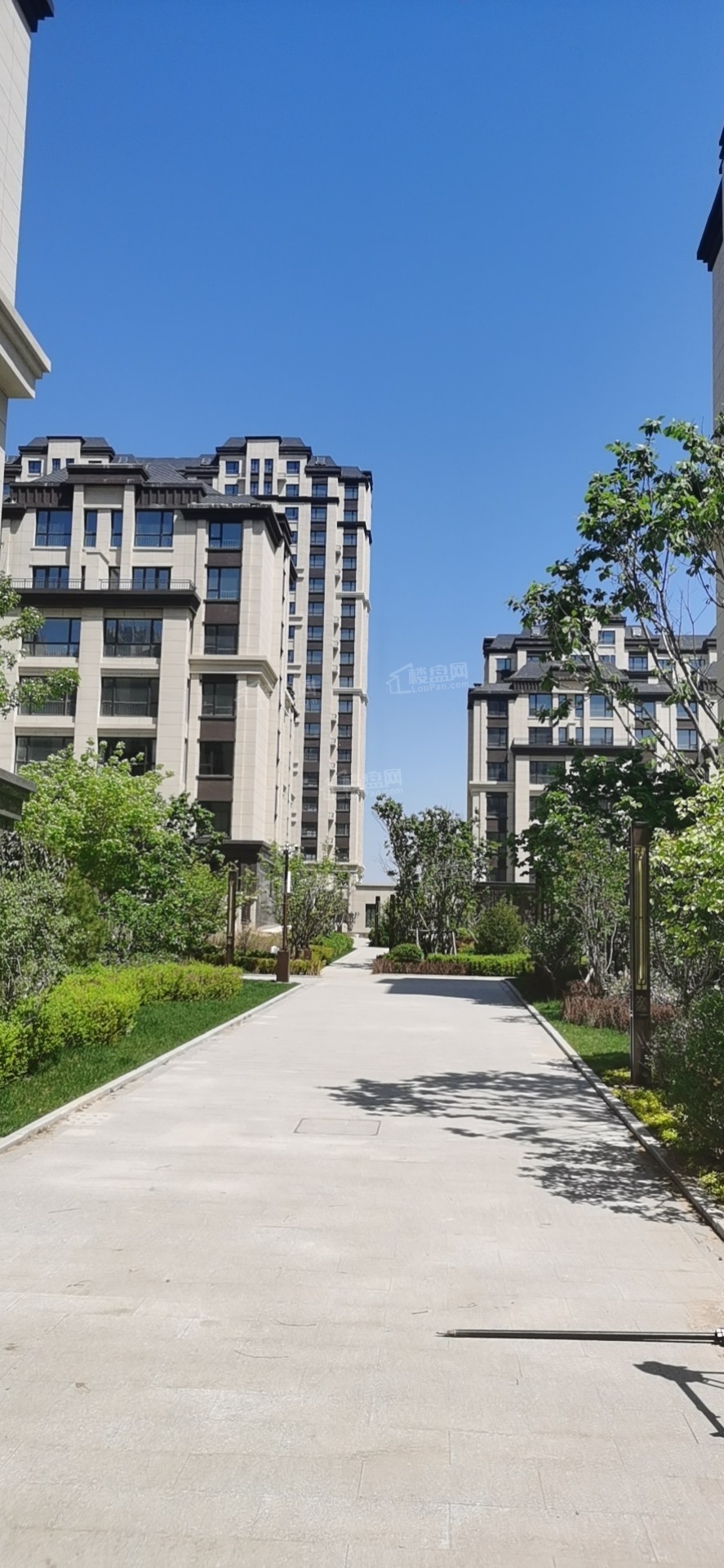 葫芦岛泰达·书院效果图_实景图_样板间-葫芦岛楼盘网