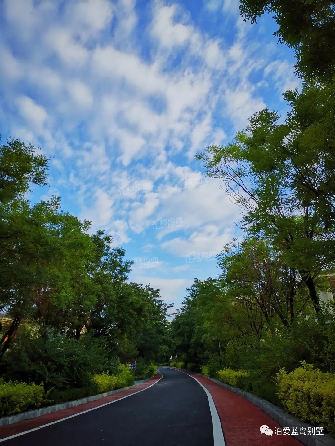泊爱蓝岛实景图