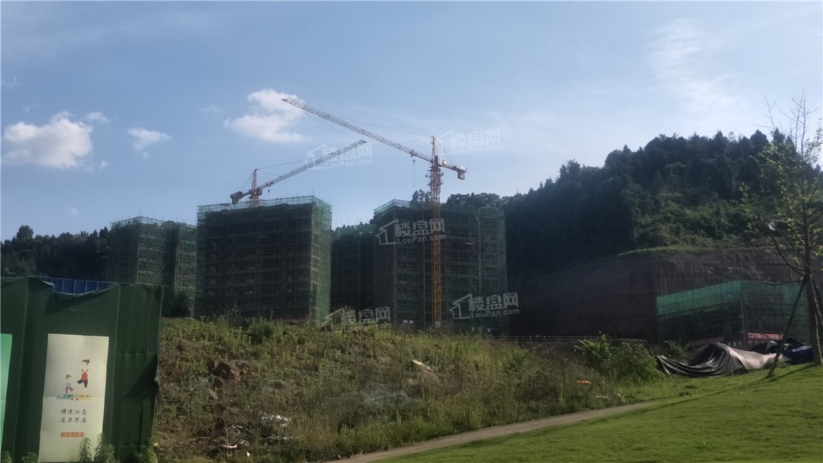 巴中置信府效果图_实景图_样板间-巴中楼盘网