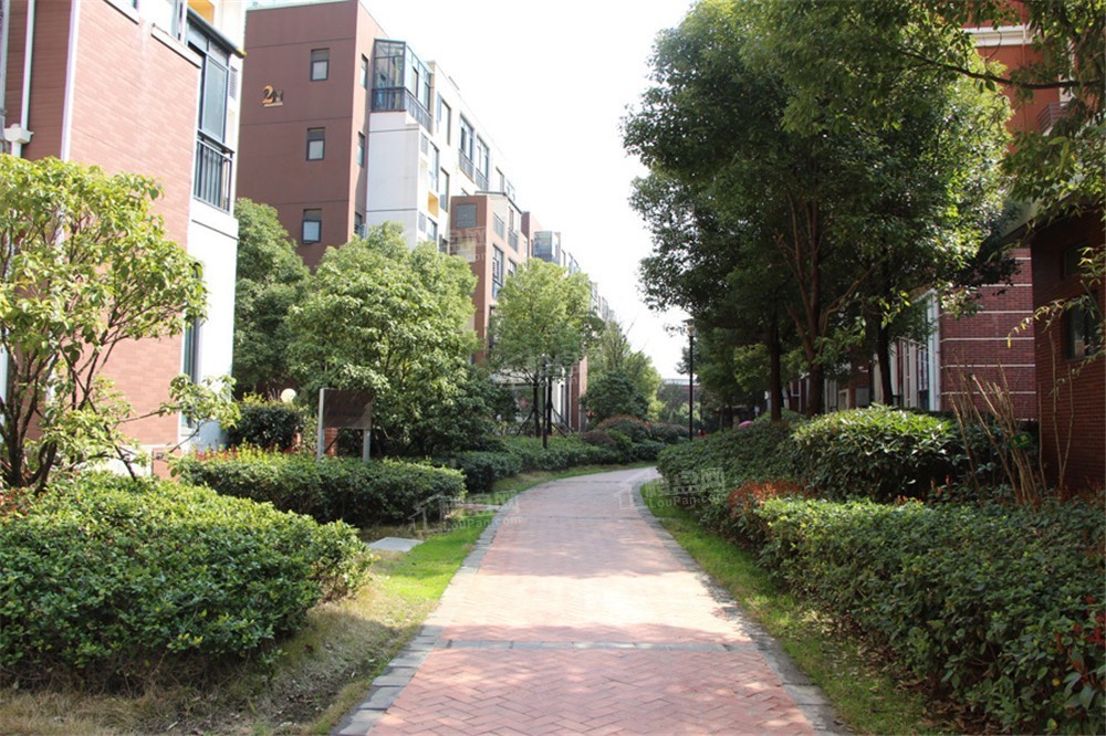 现代森林国际城实景图