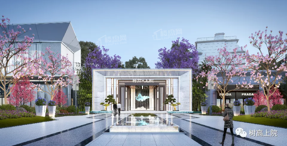 树高上院_绵阳树高上院房价_楼盘怎么样-绵阳楼盘网