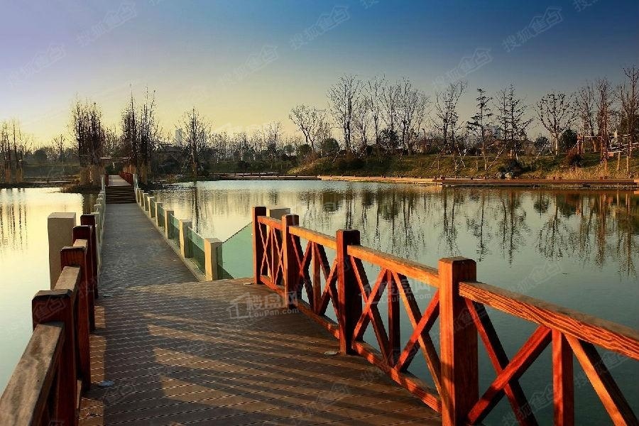 丁塘河湿地公园