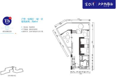 Tb户型1室2厅1卫63㎡