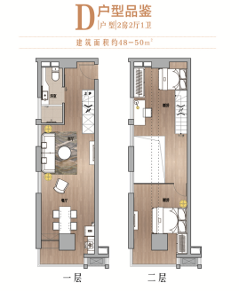 LOFT公寓D户型-221-48-50