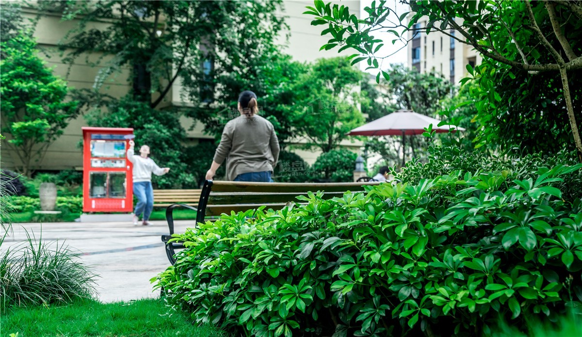 实景图，2021年6月