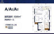 A&A1&A2户型 2房2厅1厨1卫 66㎡