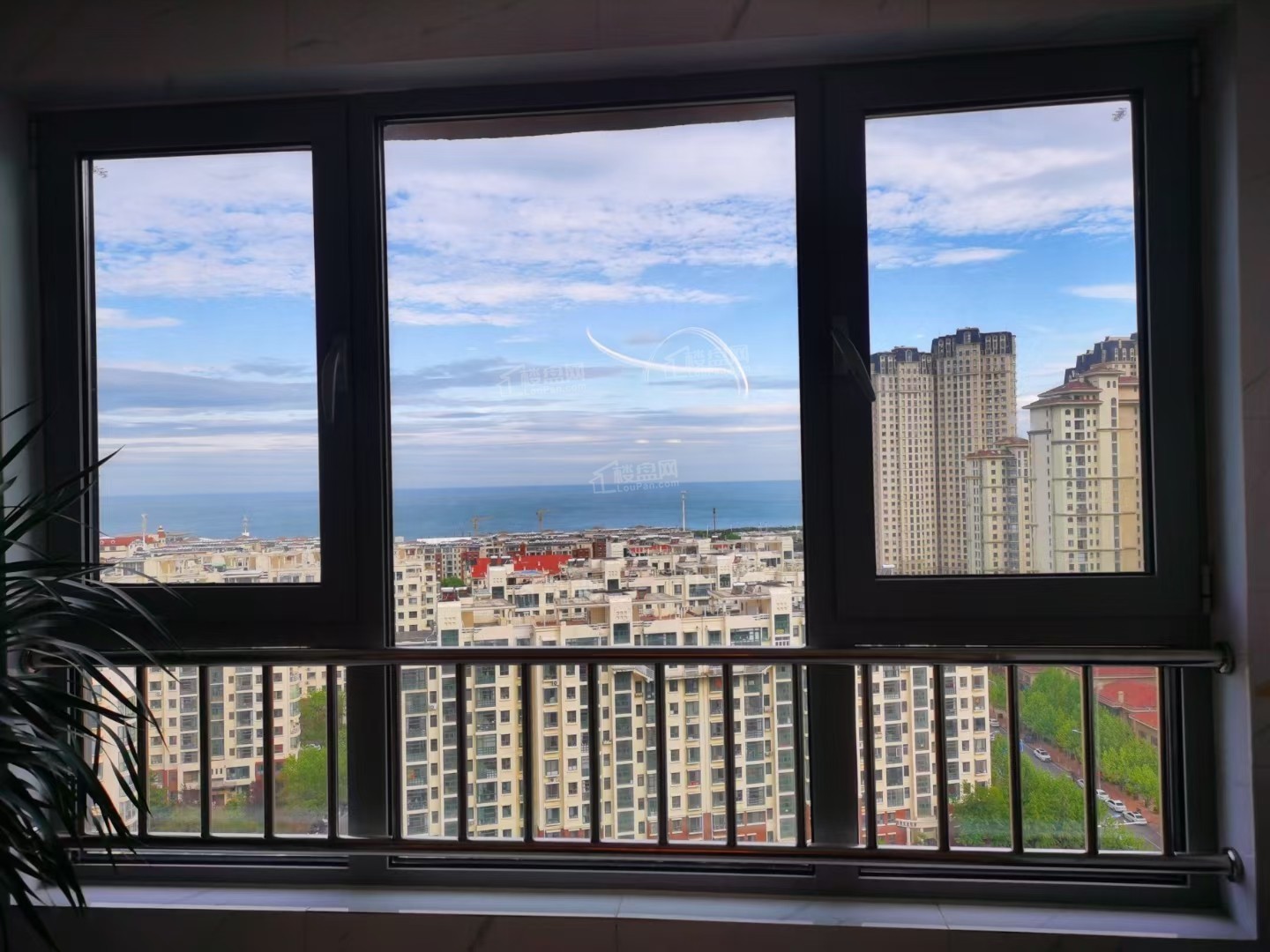 樾金沙图片_户型图_样板间图_装修效果图-青岛楼盘网