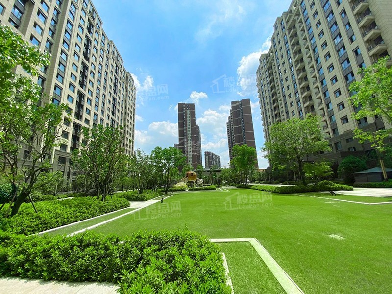栖霞鲁能公馆实景图