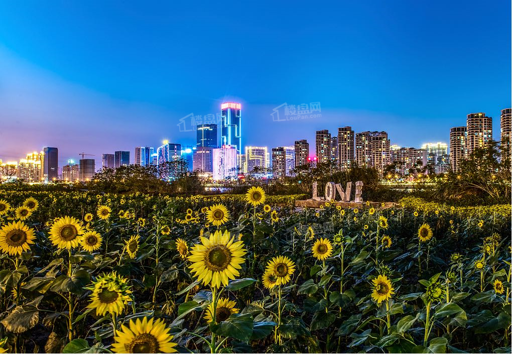 福州中庚东金效果图_实景图_样板间-福州楼盘网