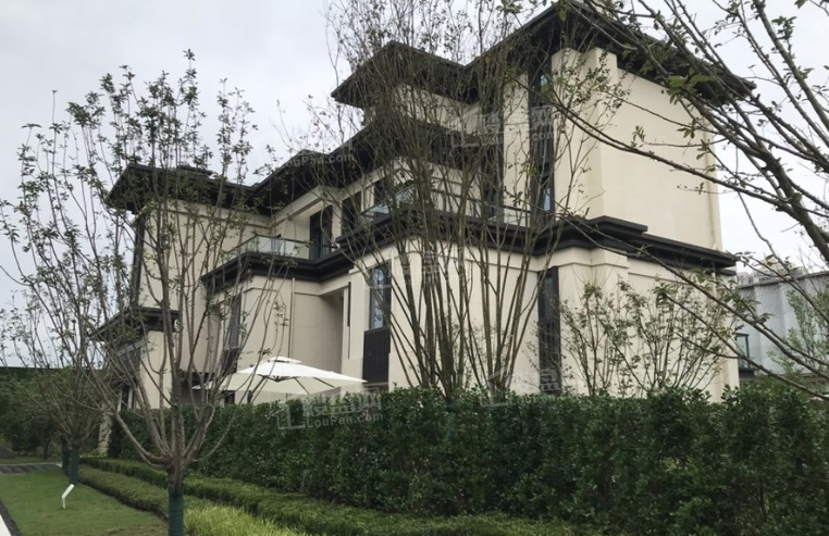 金科中梁美院_成都金科中梁美院房价_楼盘怎么样-成都楼盘网