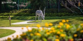 恒大珺睿府园区实景图