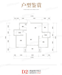 D2户型95平米