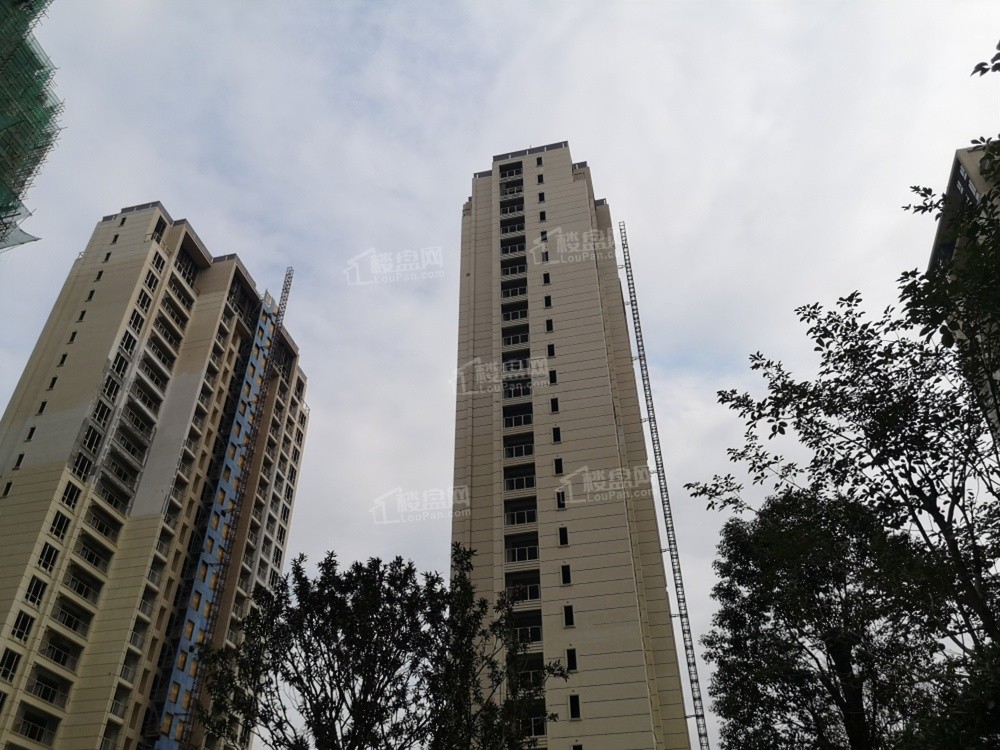 中庚香山新时代_福州中庚香山新时代房价_楼盘怎么样-福州楼盘网