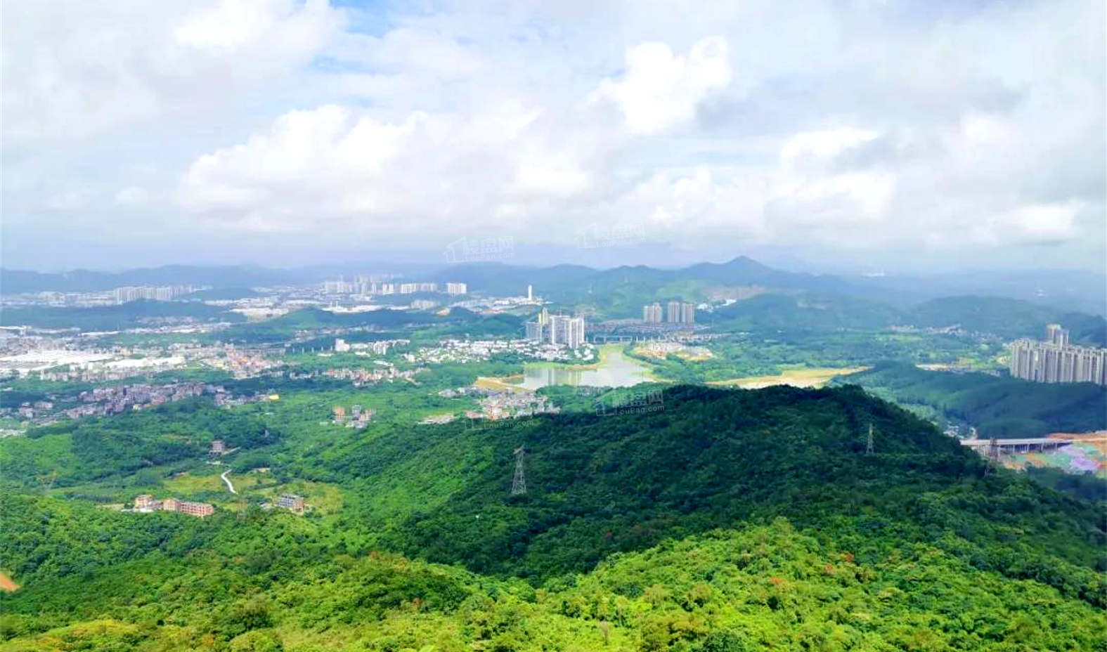 南香山森林公园实景图