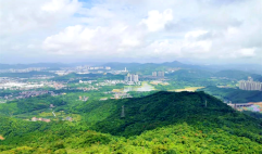 南香山森林公园实景图
