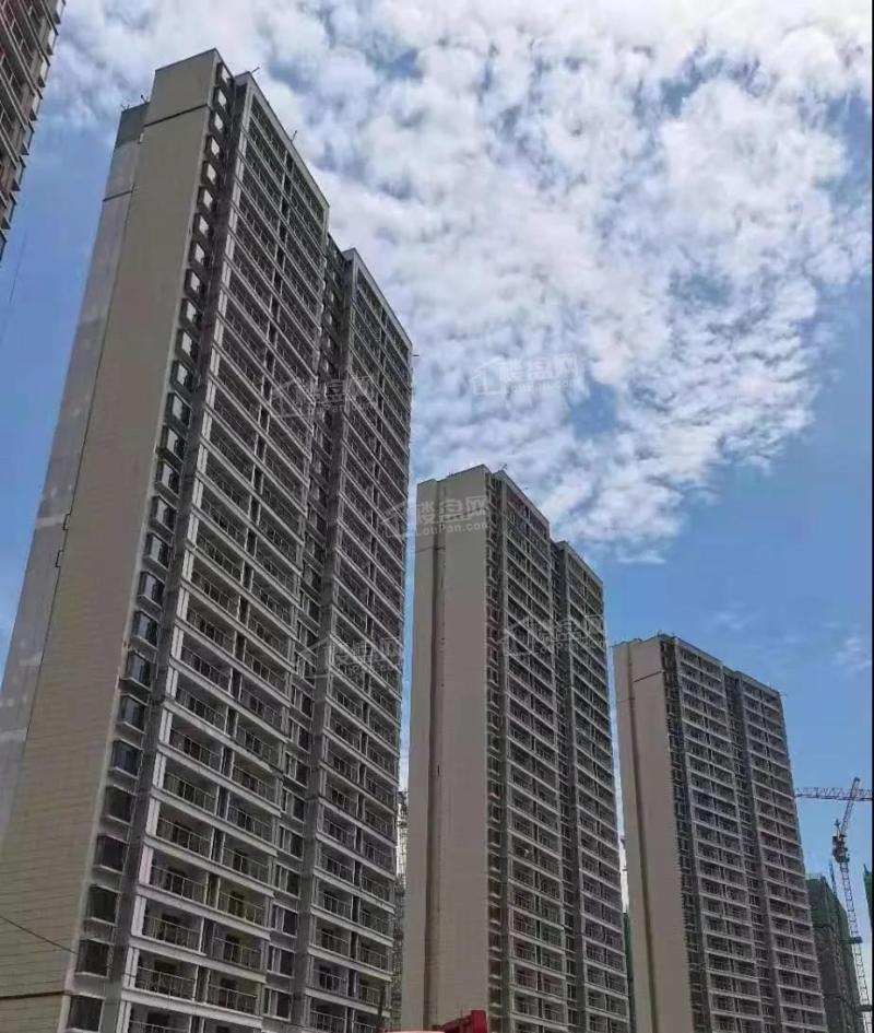 中南滨海壹号建设实景