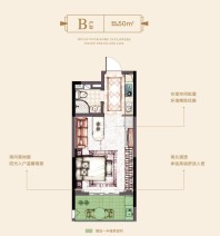 B户型50㎡ 户型方正卧室朝南居  室：1室1厅1卫0厨