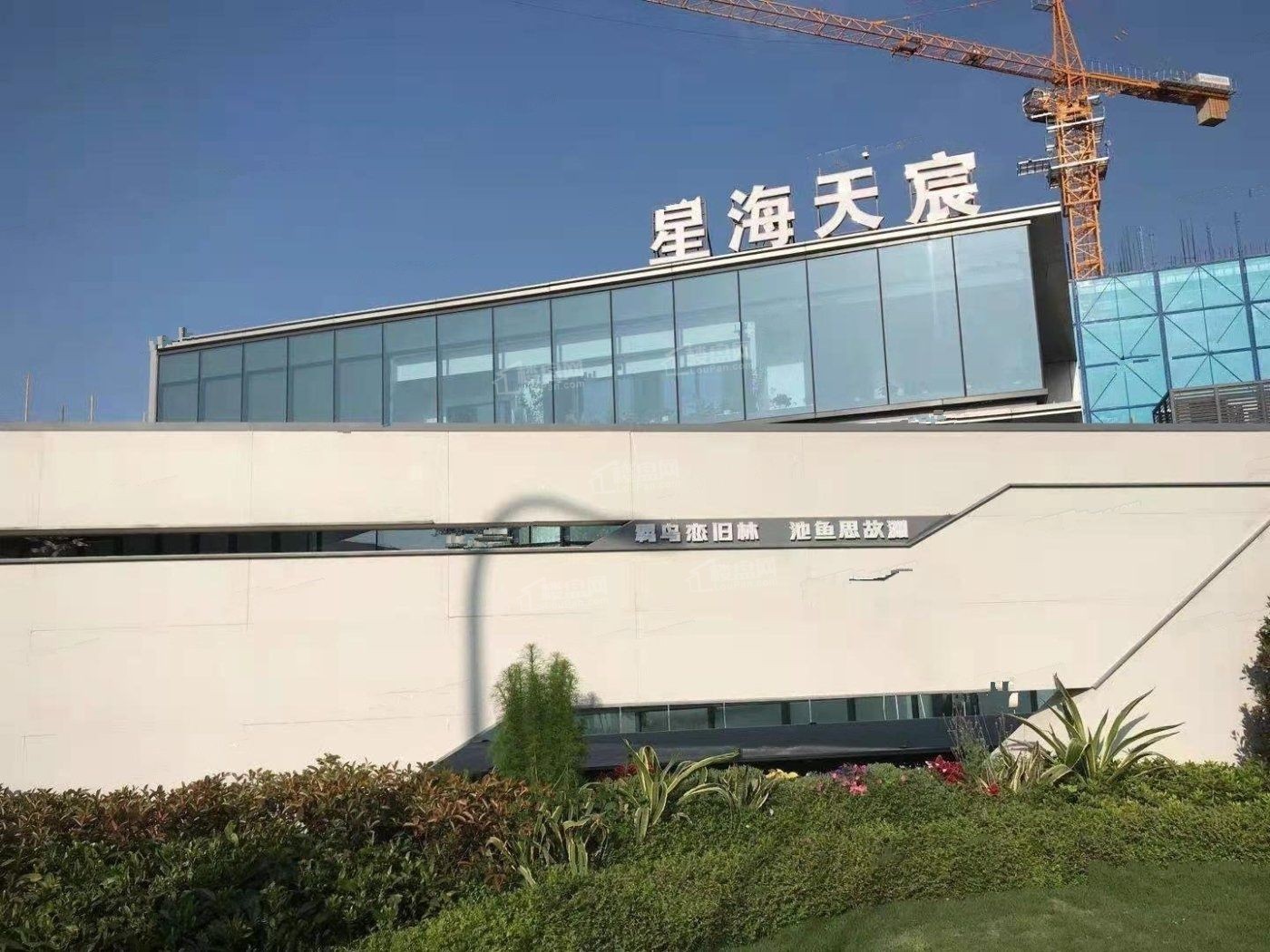 星海天宸实景图