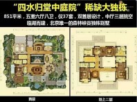 燕西华府户型图大独栋850平