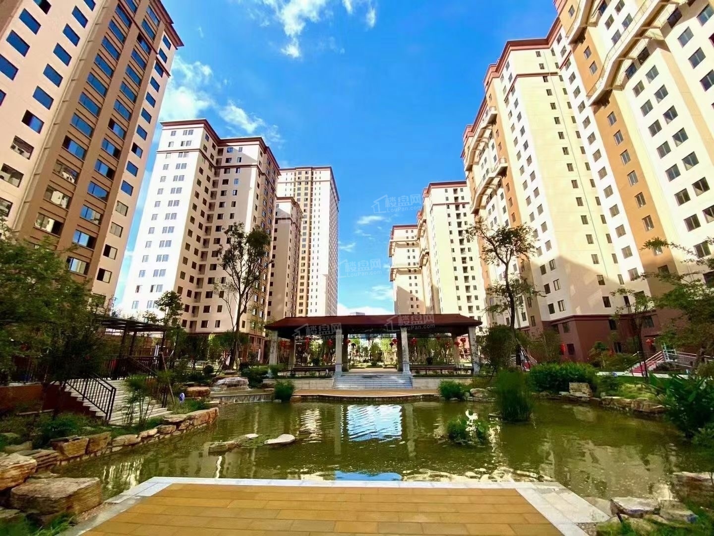 实景图