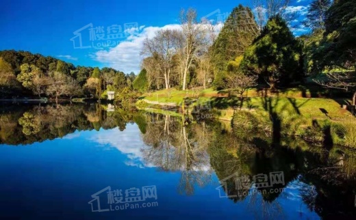 实地泰州君兰汀岸实景图